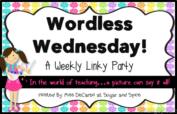 Wordless Wednesday-wg348