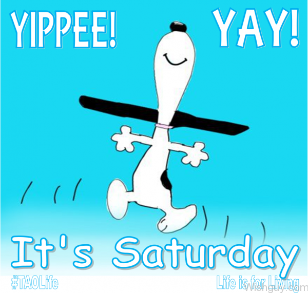 Yippe - It's Saturday !-ig8-wg1137