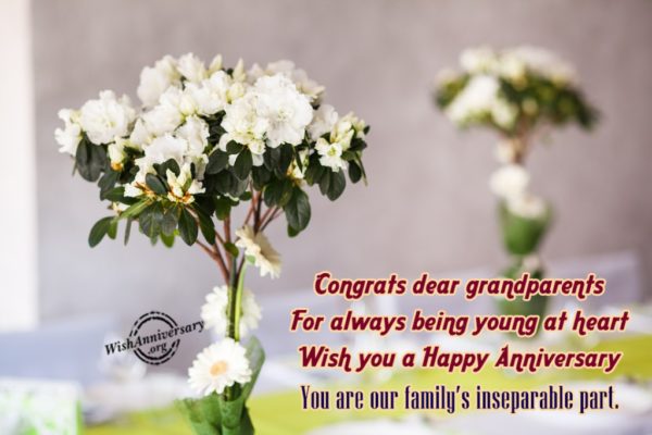 Congrates Dear Grandparents For Always Being Young At Heart