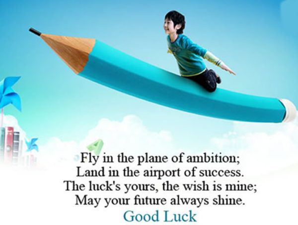 Fly In The Plane Of Ambition