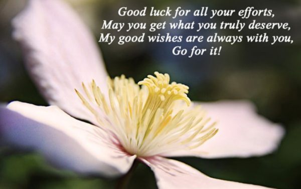 Good Luck For All Your Efforts