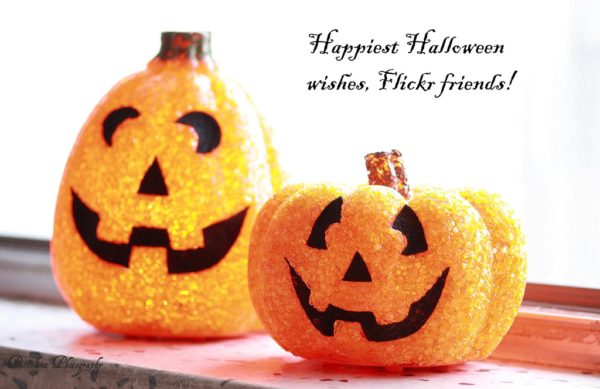 Happiest Halloween Wishes