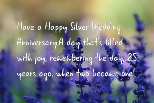 Have A Great Silver Weding