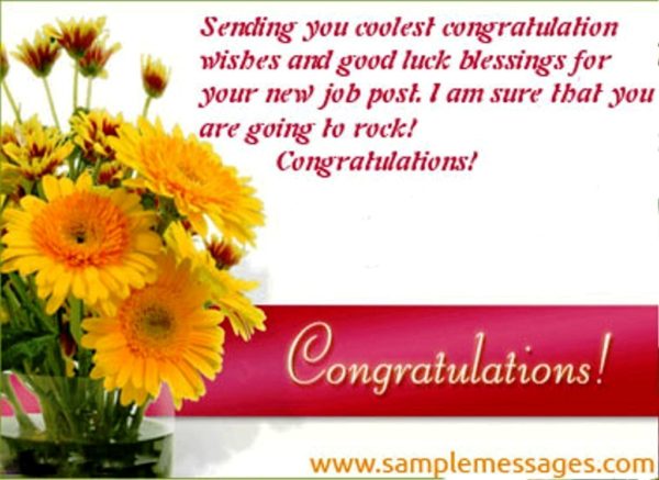 Sending You Coolest Congratulation