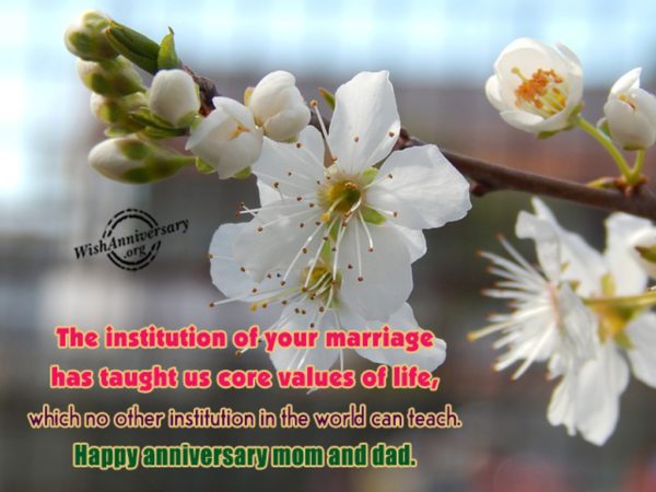The Institution Of Your Marriage