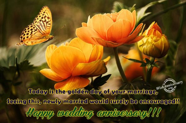 Today Is The Golden Day Of Your Marriage