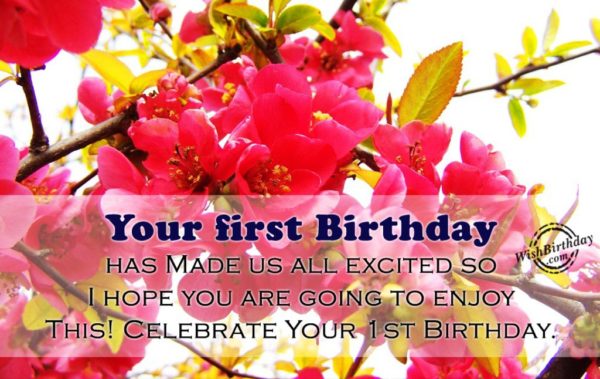 Your First Birthday