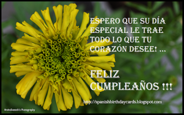 Best Birthday Wishes In Spanish Language