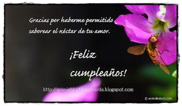 Birthday Wish In Spanish