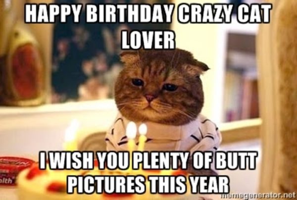 Happy Birthday Crazy Cat