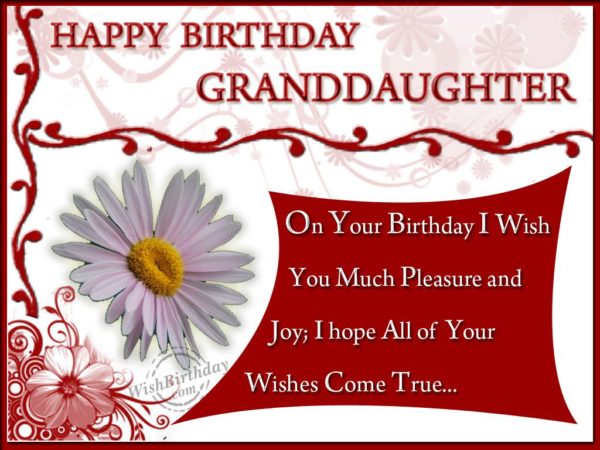 Happy Birthday Granddaughter