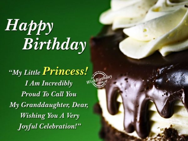 Happy Birthday -My Little Princess! I Am Incredibly Proud To Call You My Granddaughter