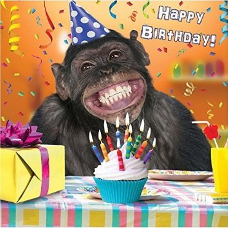 Funny Birthday Wishes - Wishes, Greetings, Pictures – Wish Guy