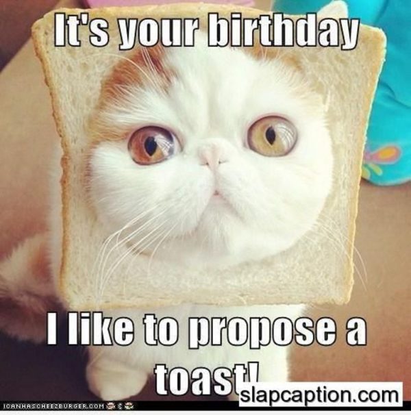  Like To Propose A Toast