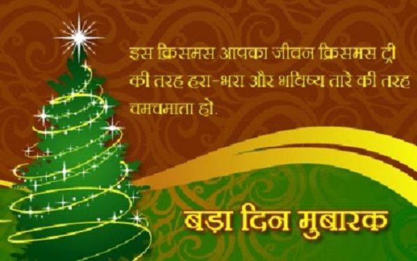 Is Christmas Aapka Jiwan Christmas Tree Ki Tatah Hara Bara Ho