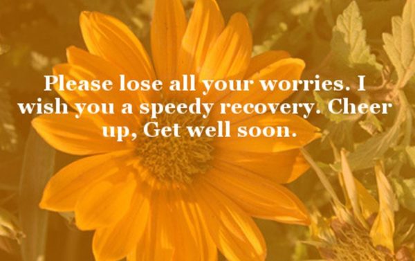 Please Lose All Your Worries