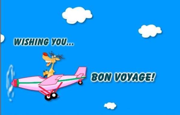 Wishing You Bon Voyage