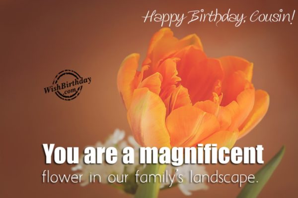 You Are A Magnificent Flower – Happy Birthday Cousin