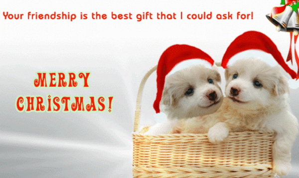 Your Friendship Is The Best Gift That I Could Ask For I Merry Christmas