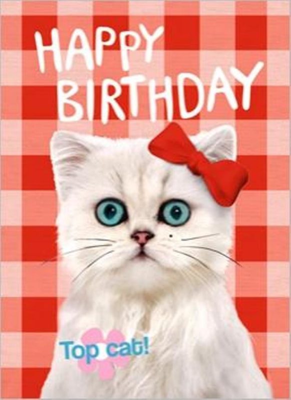 Cat Birthday Wishes